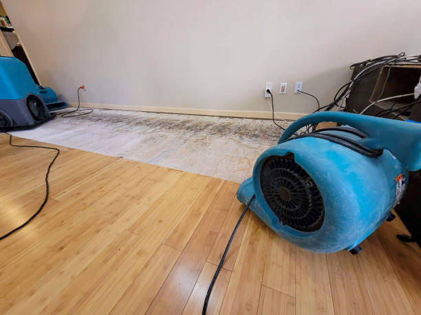 Reliable Basement Flood Cleanup contractor in Drexel, NC by Hirex Water Damage