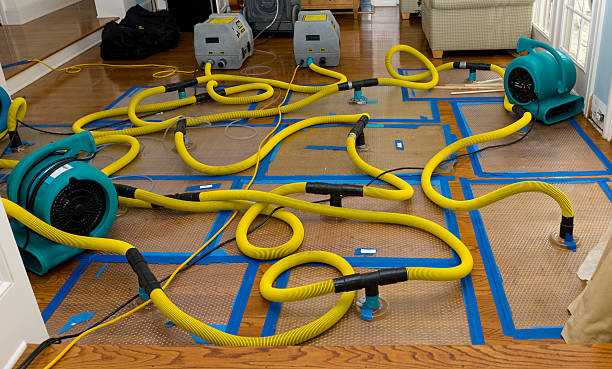 Professional Basement Flood Cleanup technician working in Drexel, NC
